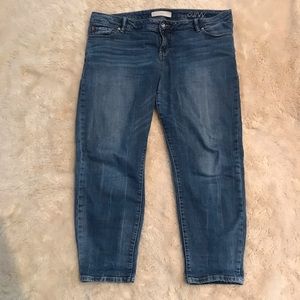 Slink Jeans 16 curvy